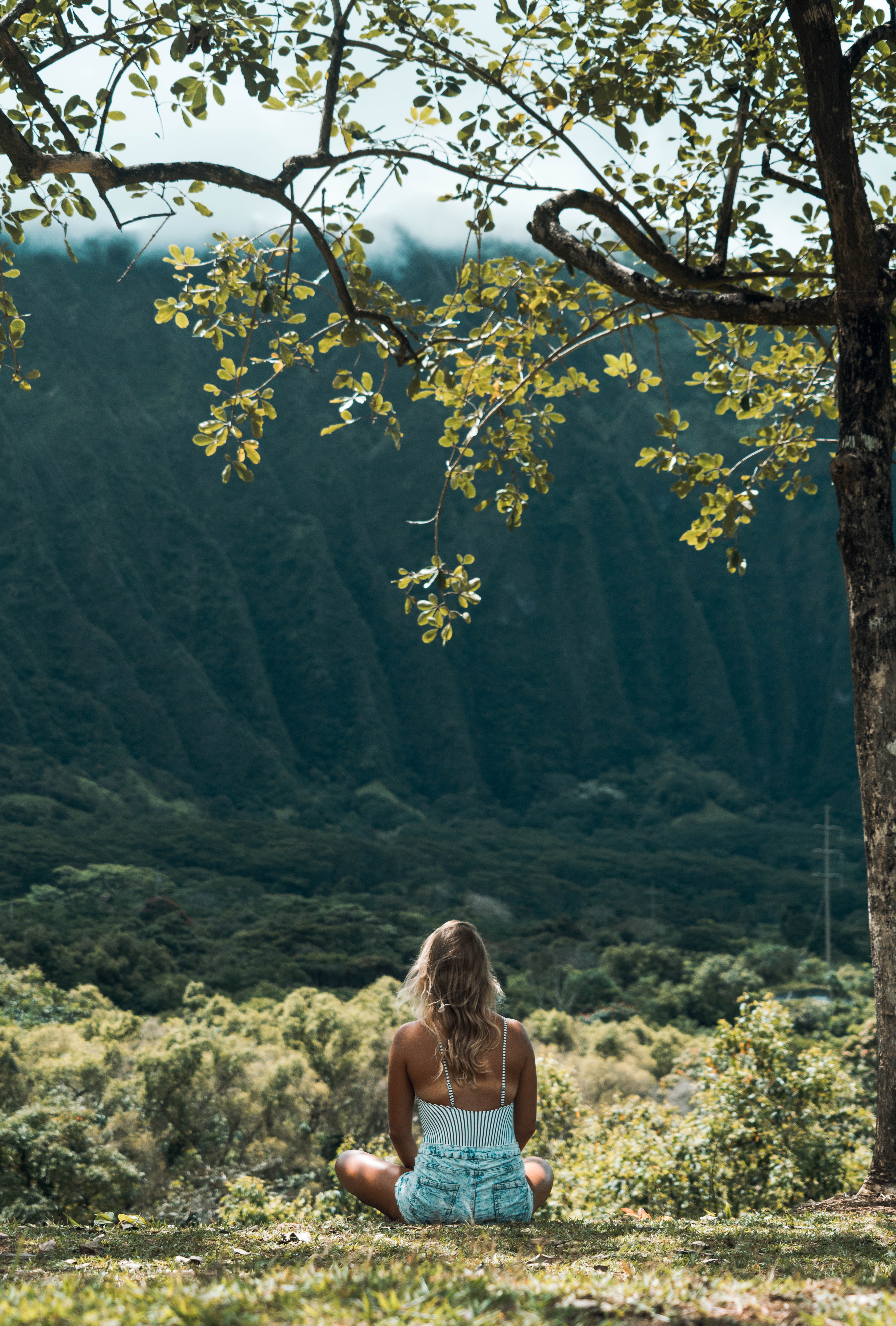 Woman meditating in a beautiful nature scene.